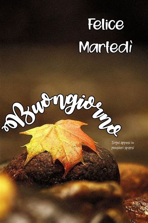 bellissime buon martedì autunnale